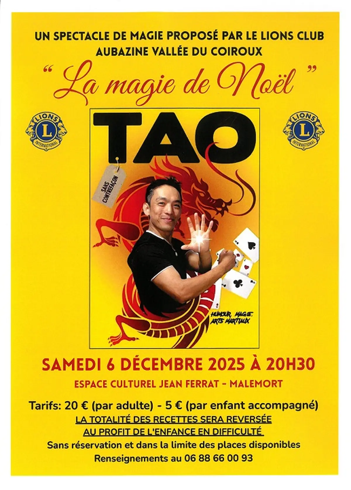 Spectacle de TAO : La magie de Noël