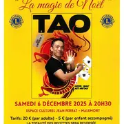 Spectacle de TAO : La magie de Noël