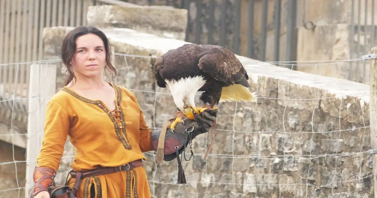 Spectacle des sabots et des ailes