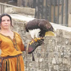 Spectacle des sabots et des ailes