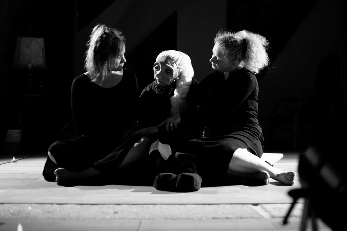 Spectacle Distorsion