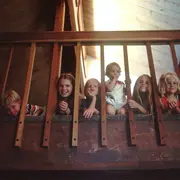 Spectacle Drôle d'abeille