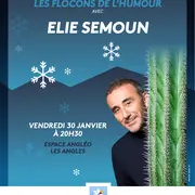 Spectacle Elie Semoun Avec Les Flocons De L'Humour