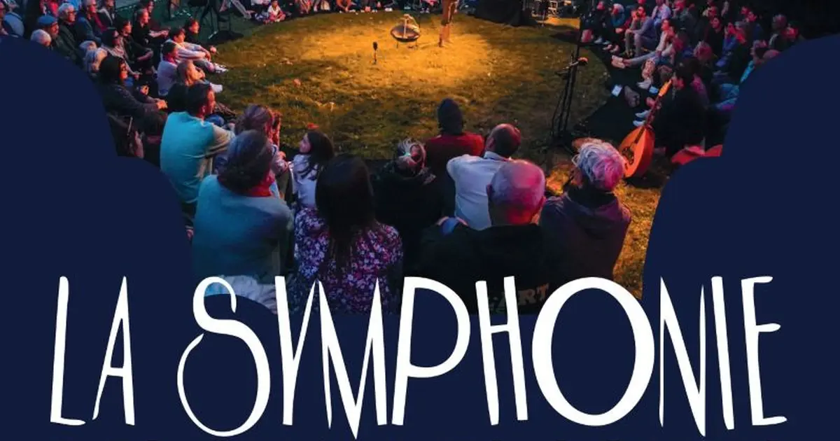 Spectacle en plein air : La symphonie des chauves-souris