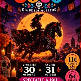 Spectacle équestre