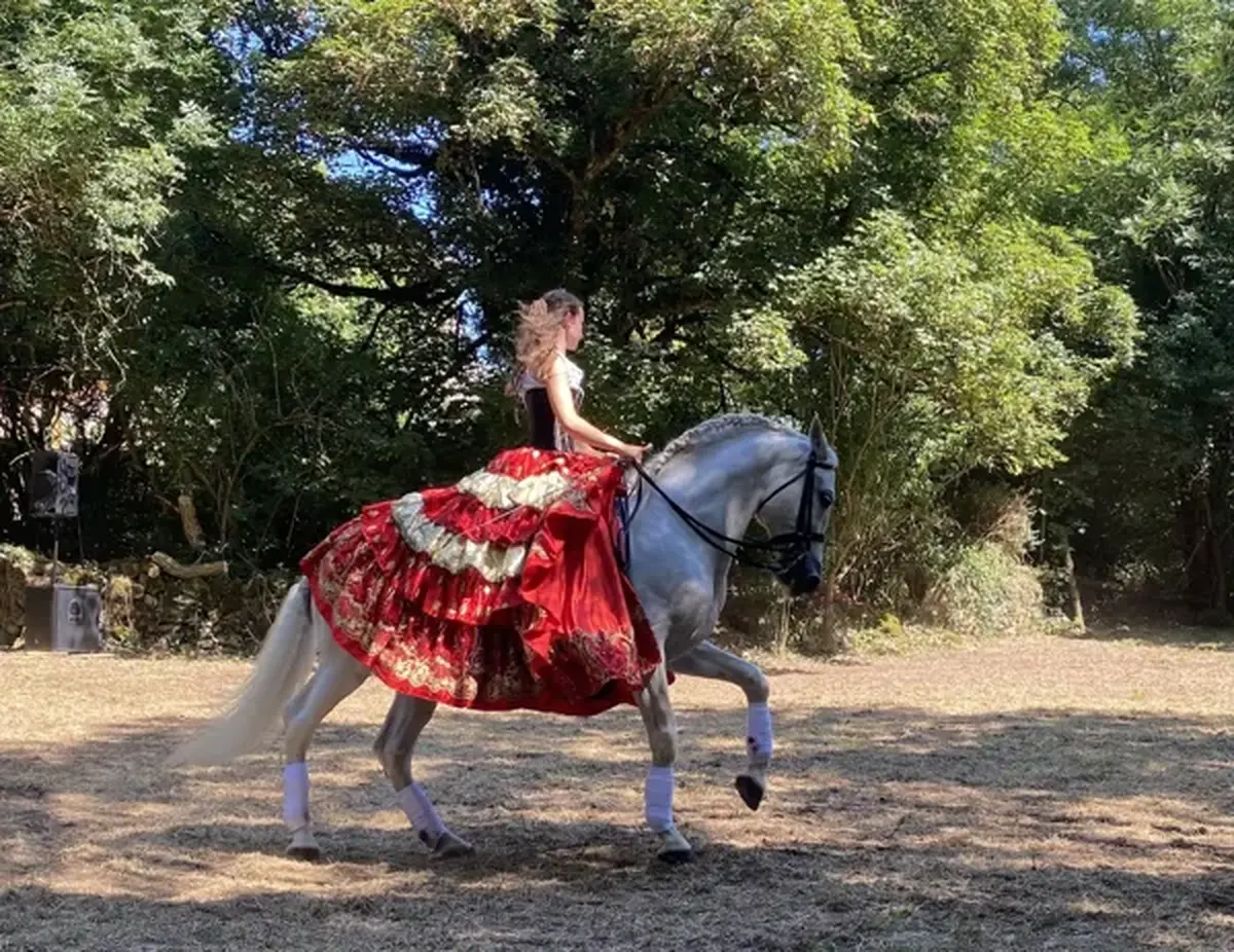Spectacle équestre