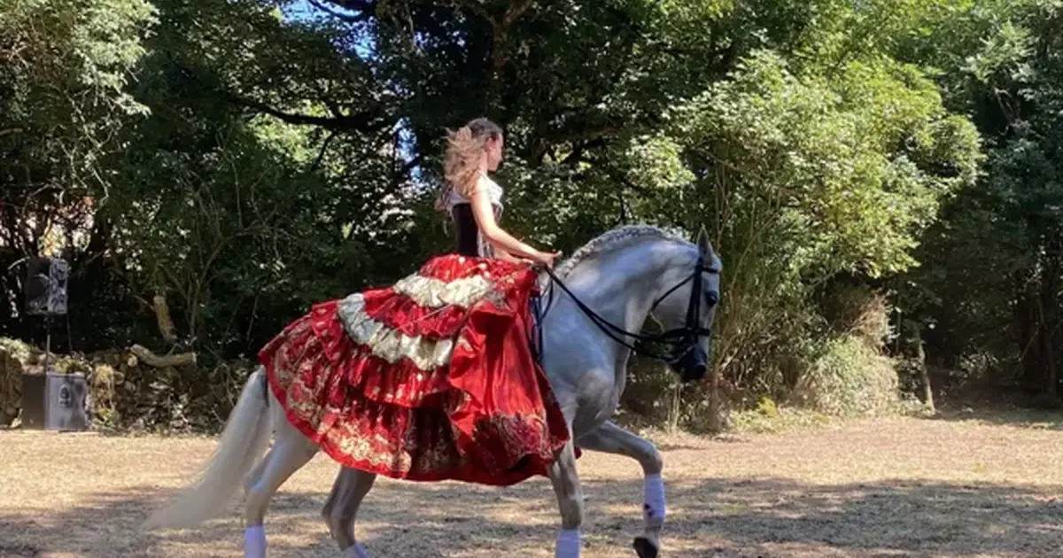 Spectacle équestre
