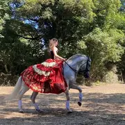 Spectacle équestre