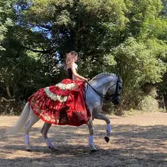 Spectacle équestre