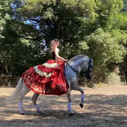 Spectacle équestre