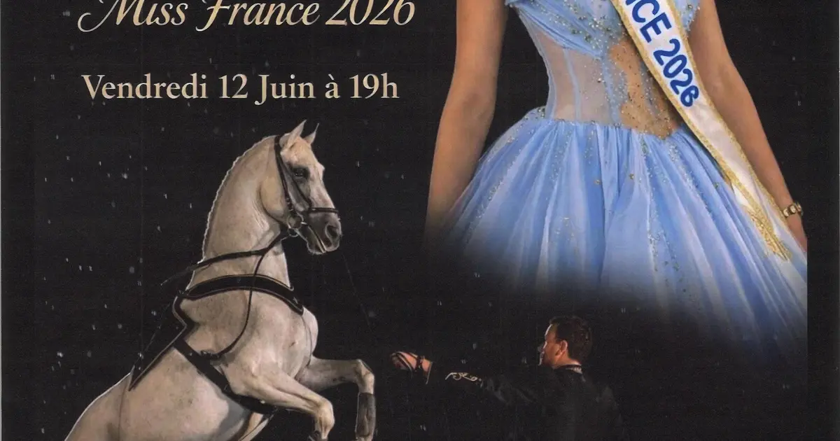 Spectacle équestre