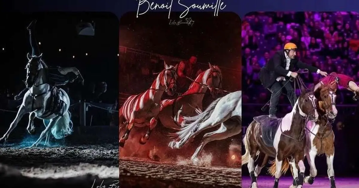 Spectacle équestre aux Arènes