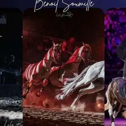 Spectacle équestre aux Arènes