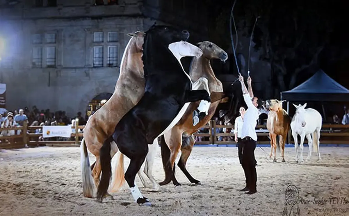 Spectacle équestre avec le Gonzalez Horse Show