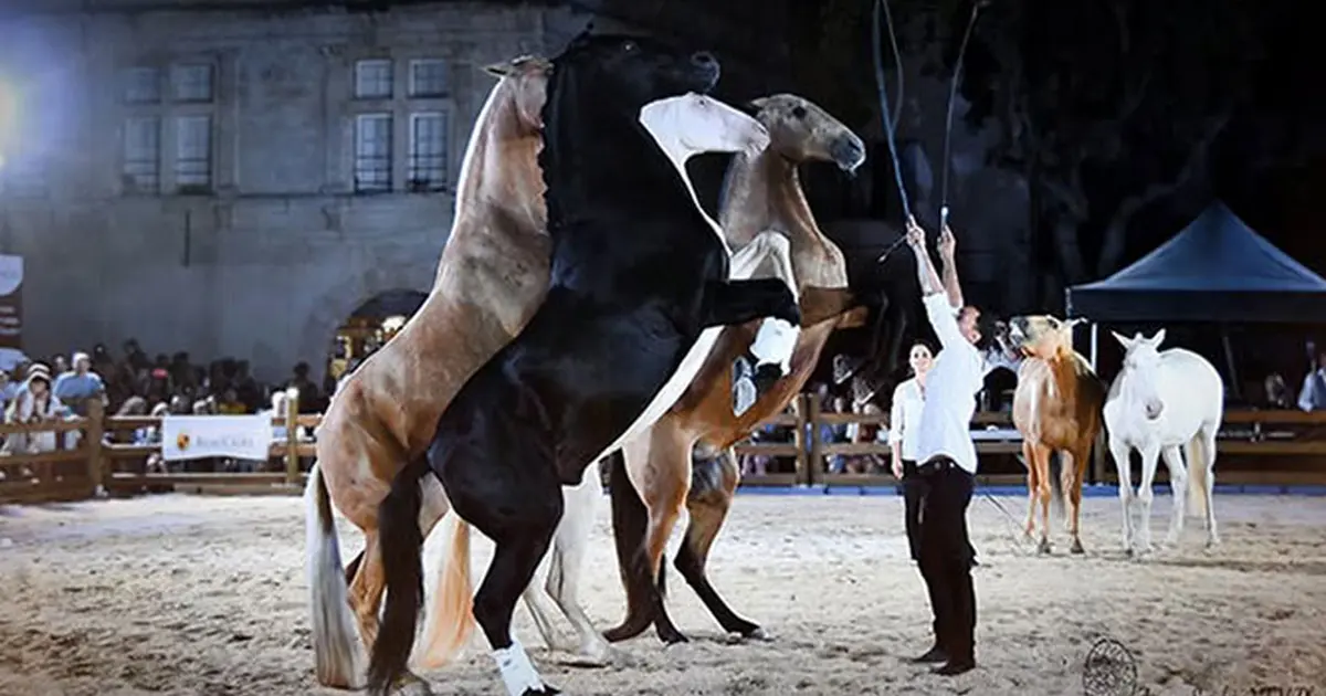 Spectacle équestre avec le Gonzalez Horse Show