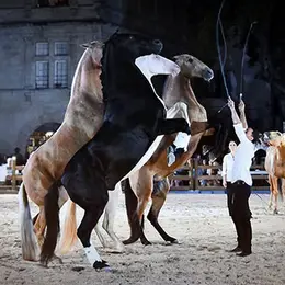 Spectacle équestre avec le Gonzalez Horse Show