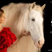 Spectacle équestre : Femmes