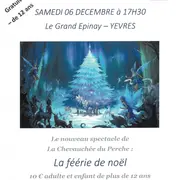 Spectacle équestre, feu, son et lumière - La Féérie de Noël