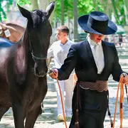 Spectacle équestre (Jardins de la Guierle)