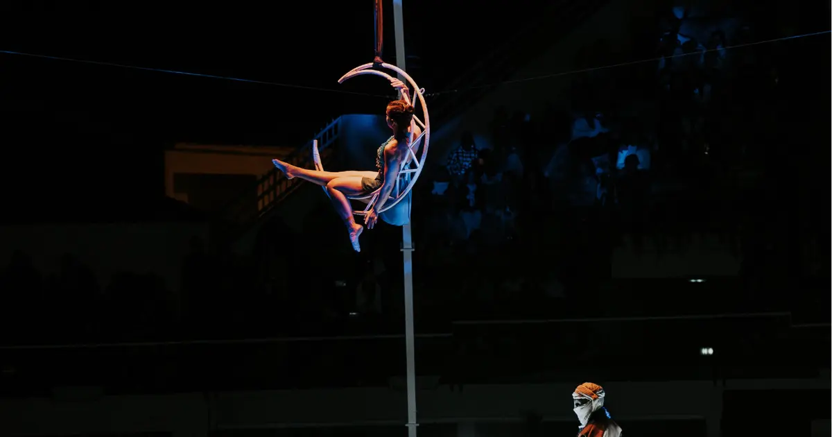Spectacle équestre "L'écho De L'Horizon"