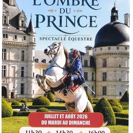 Spectacle équestre : l'ombre du Prince