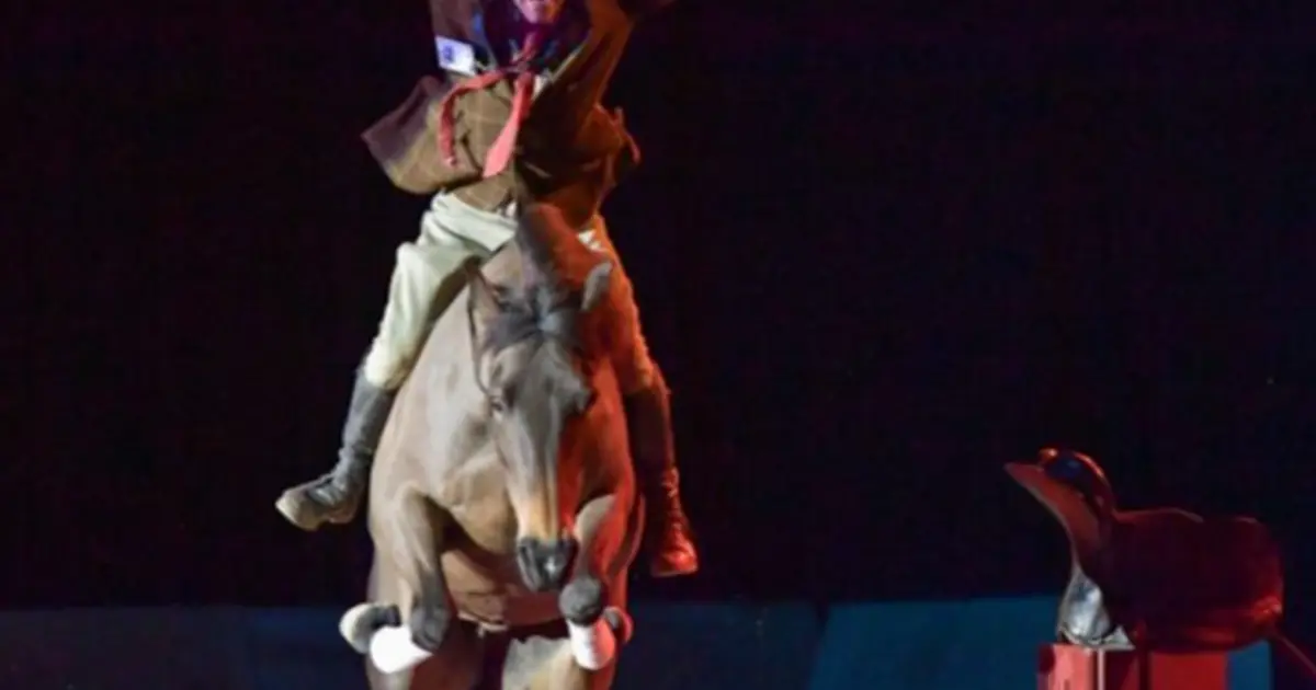 Spectacle équestre : La Méthode Bolino