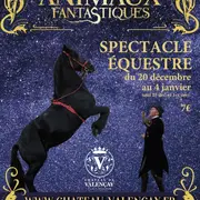 Spectacle équestre « Les animaux fantastiques »