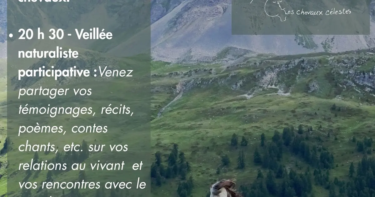 Spectacle équestre " Les Silencieux"
