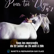 Spectacle équestre Pour toi Ugo