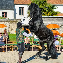 Spectacle équestre « Rencontre entre l’homme et le cheval »