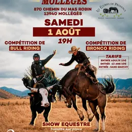 Spectacle équestre Rodéo' Show
