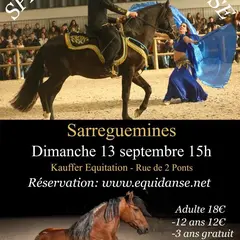 Spectacle EquiDanse