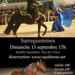 Spectacle EquiDanse