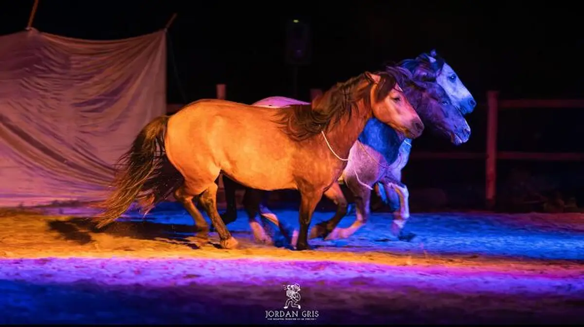 Spectacle Équin et Marché de Producteurs et Artisans à Blond