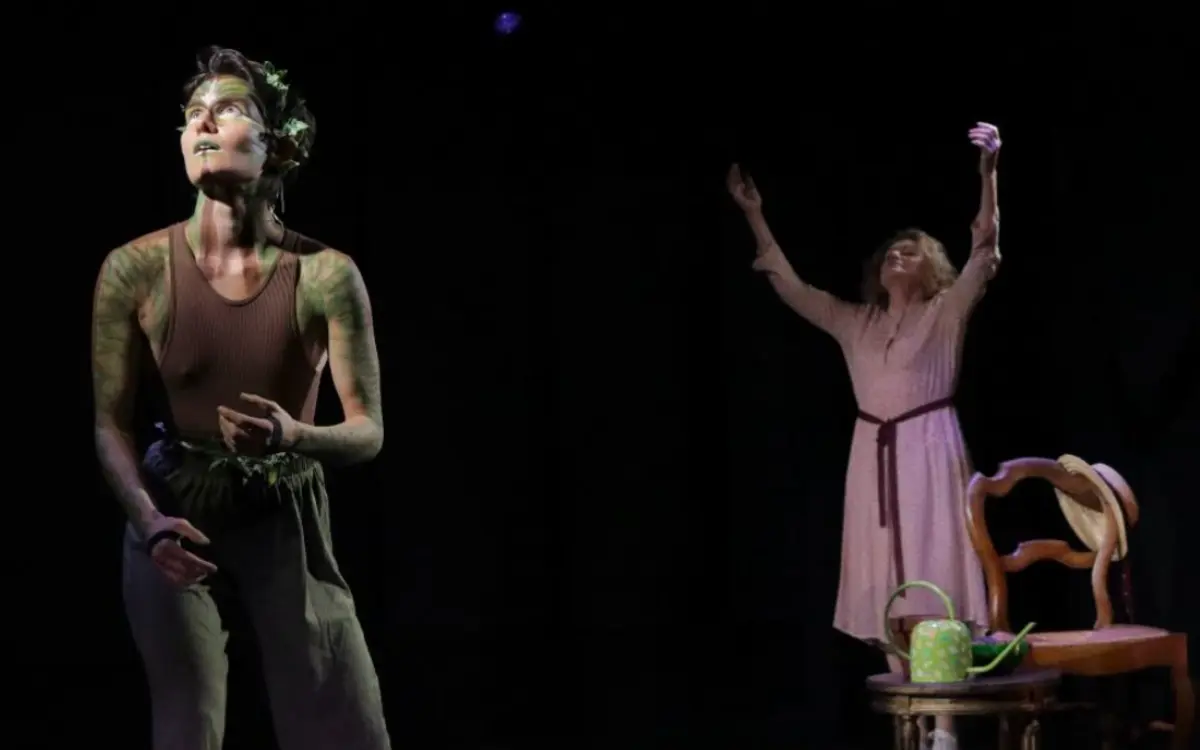 Spectacle familial : Clémentine et Pensée de la forêt