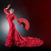 Spectacle Flamenco