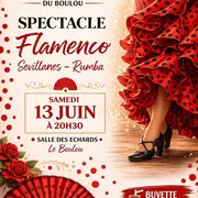Spectacle - Flamenco Sevillanes Rumba
