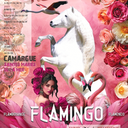 Spectacle Flamingo au Théâtre Equestre Camarkas