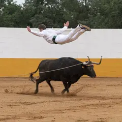 Spectacle hispano-landais