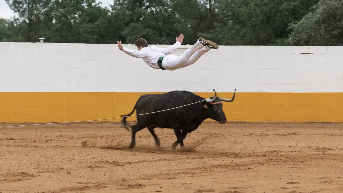 Spectacle hispano-landais