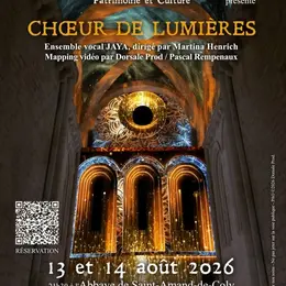 Spectacle immersif - Choeur de lumières