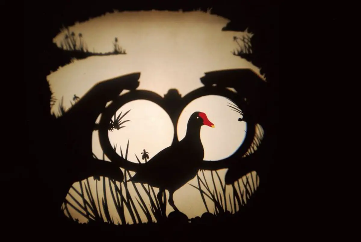 Spectacle immersif - Volatile Ombré