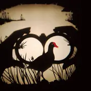 Spectacle immersif - Volatile Ombré