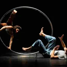 Spectacle : indifference