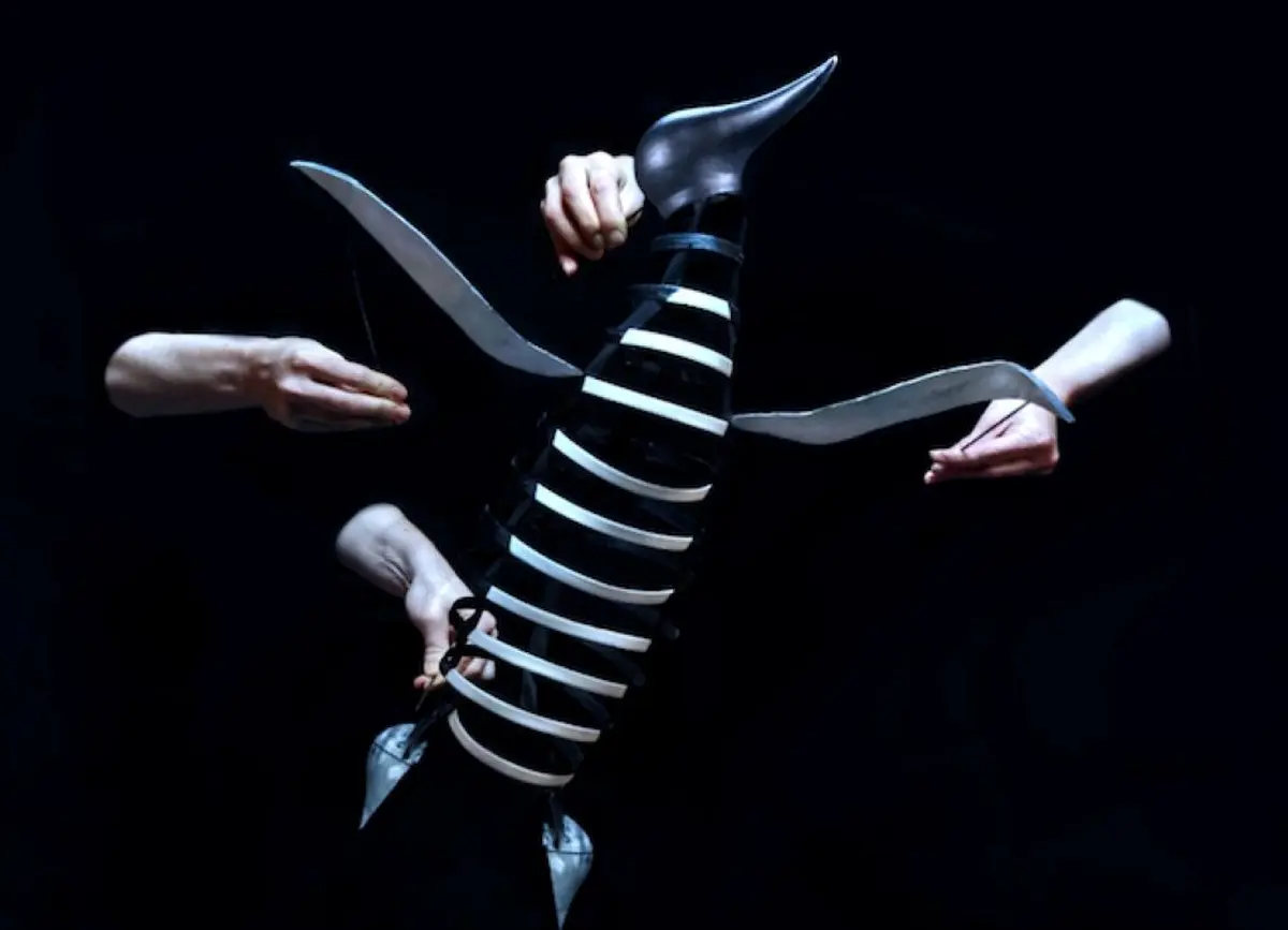 Spectacle jeune public à Figeac : Le complexe du pingouin