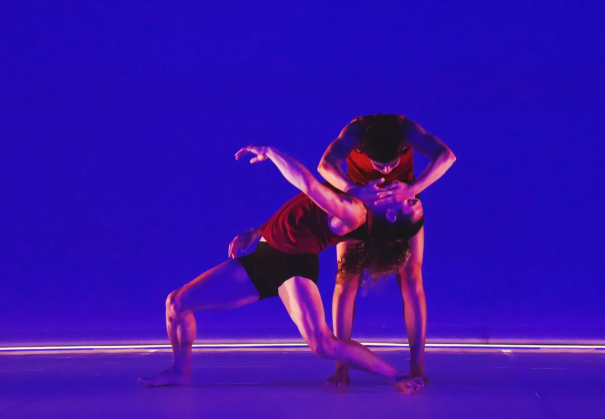 Spectacle - Josette Baïz - Tandem