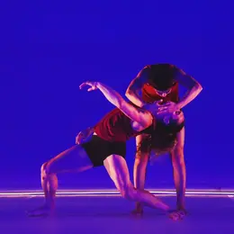 Spectacle - Josette Baïz - Tandem