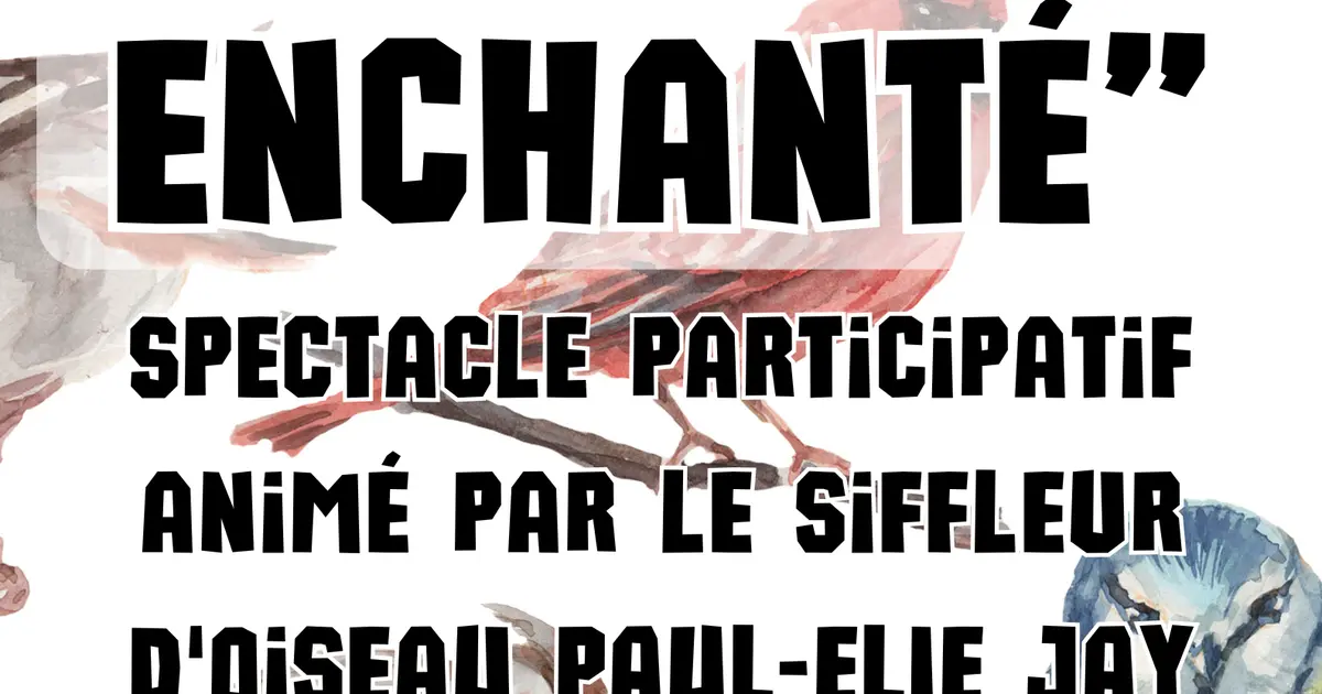 Spectacle "L'oiseau enchanté" à la MARPA de Lauzès