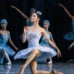 Spectacle La Belle au Bois Dormant