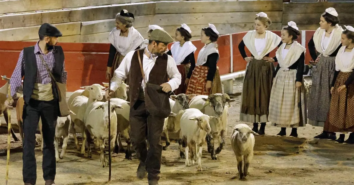 « Spectacle La Camargue des 4 saisons en collaboration avec l’Etoile de l’avenir »